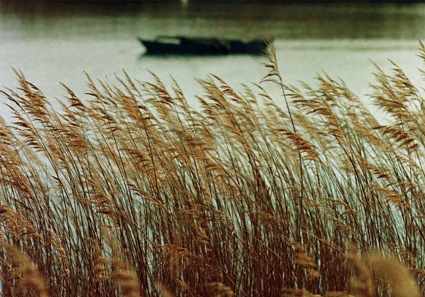 El dilluns es presenta l'Estació Biològica de l'Albufera, impulsada per la Universitat de València
